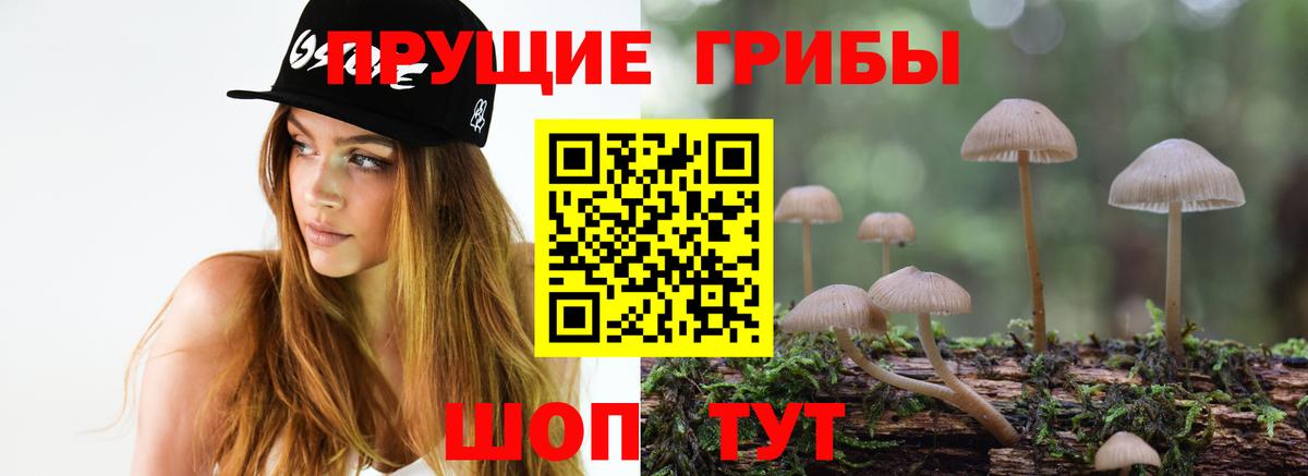 Псилоцибиновые грибы Cubensis Мегион