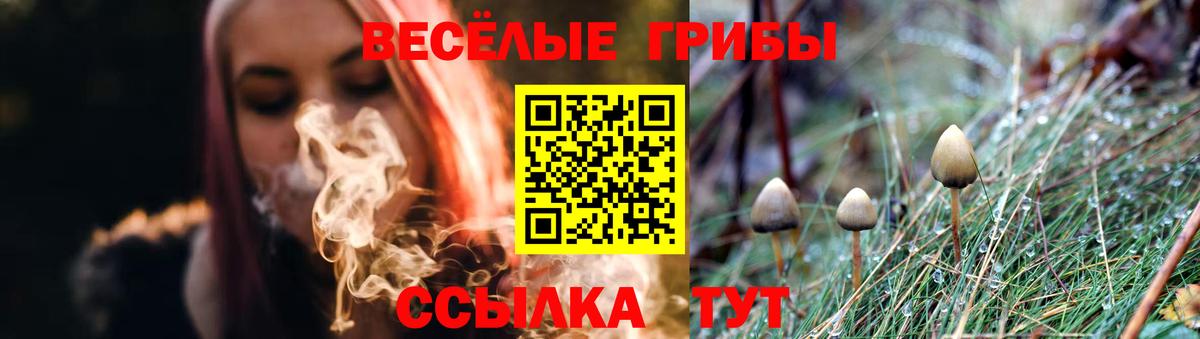 Псилоцибиновые грибы ЛСД  Вход с VPN  Мегион 